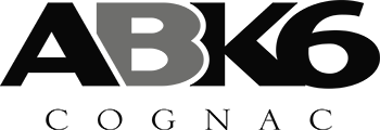 partner 6